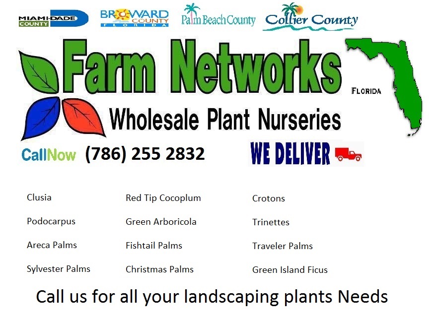 Florida Wholesale-Plant-Nursery